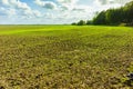 Green Agricultural Farm Field with Blue Sky and White Clouds in the Background,ÃÂ Grassland,ÃÂ Country Meadow Landscape,ÃÂ .World Royalty Free Stock Photo